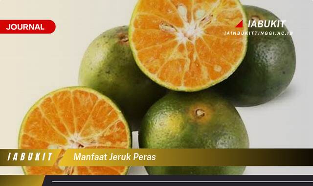 Manfaat Jeruk Peras