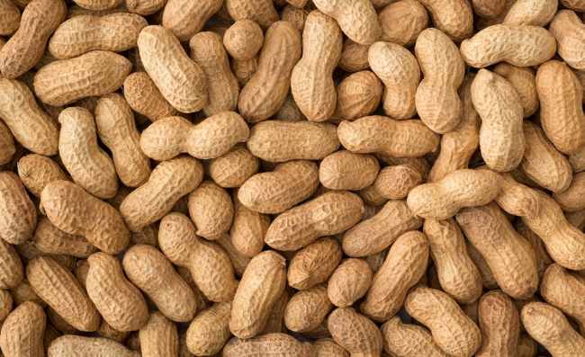 Gambar Kacang Tanah