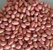 Kacang Kupas