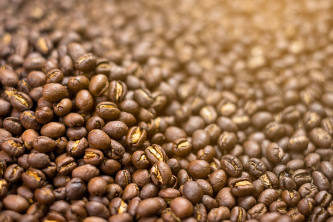 Kopi Lanang Khasiat