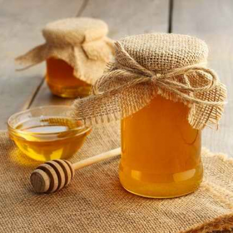 Harga Madu Asli
