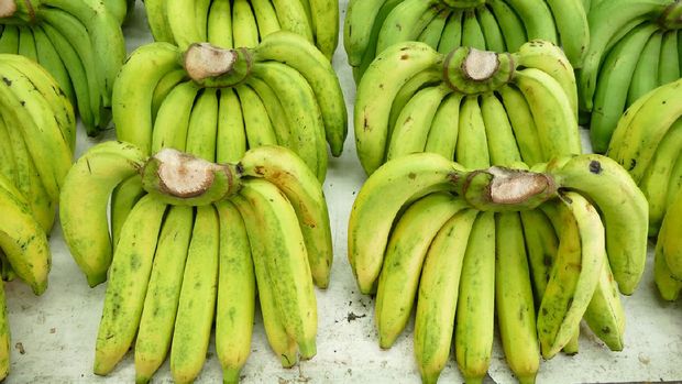 Pisang Hijau Matang