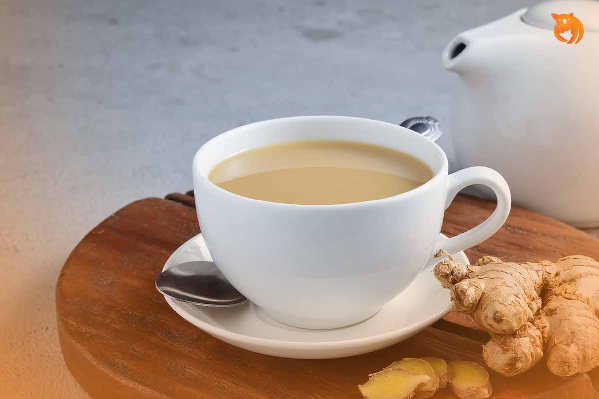 Sekilas Tentang Susu Jahe