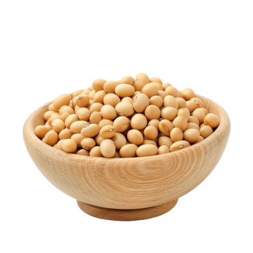 Protein susu kedelai
