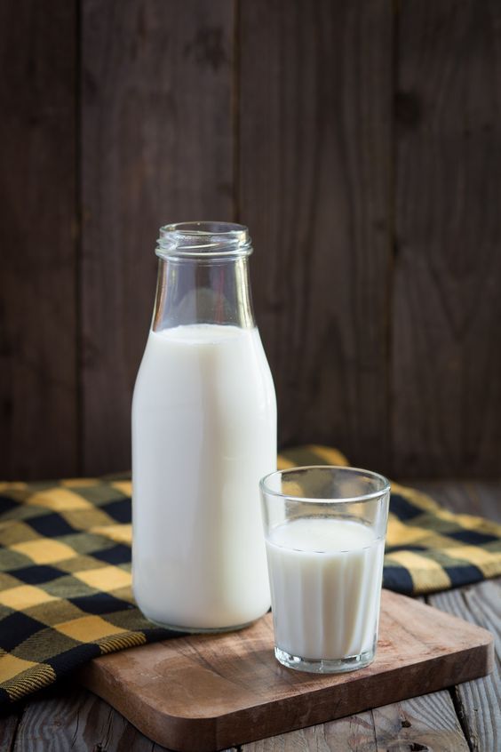 Kesegaran Susu Murni