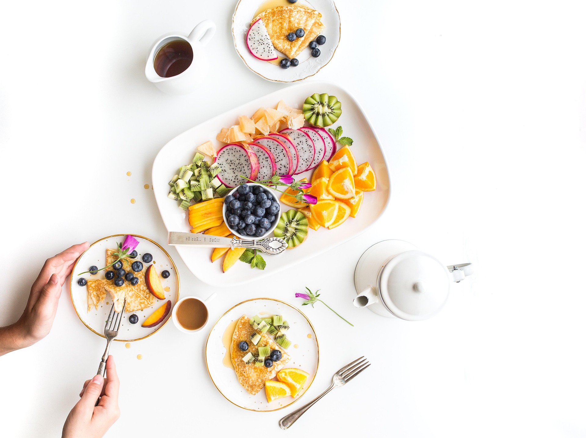 Program Diet